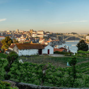 I v Portu naleznete nějaké vinice, ale ty hlavní se nachází více ve vnitrozemí, Portugalsko, Autor: Michal Kroužel