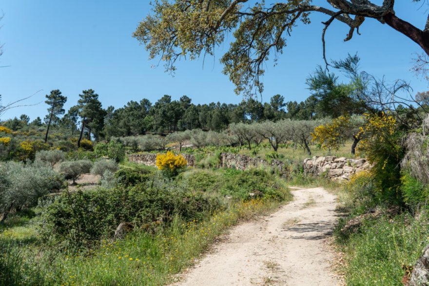 Krajina regionu Tras os Montes, Portugalsko, Autor: Michal Kroužel