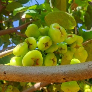 Jambul, Dune Towers, Srí Lanka, autor: Martin Dlabač