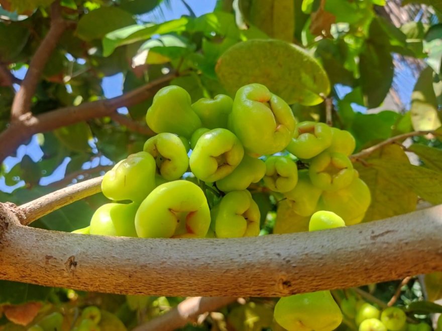 Jambul, Dune Towers, Srí Lanka, autor: Martin Dlabač