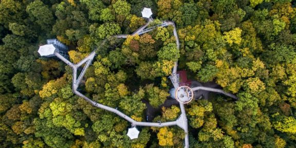 Národní park Hainich: Bukový prales za humny