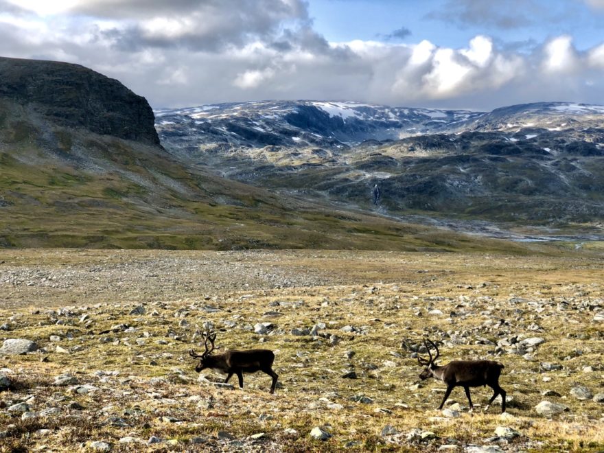 Kungsleden, Švédsko, autor: Petr Novotný