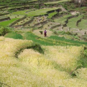 Bhútán, autor: Kateřina Jablonská Lhotová