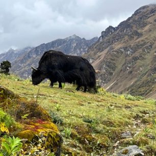 Bhútán, autor: Kateřina Jablonská Lhotová