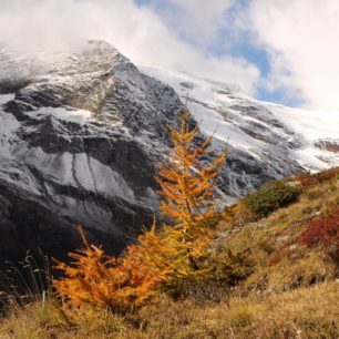 Babí léto a zlatavé modříny na nejvyšším bodě trasy Bernina express, Švýcarsko, autor: Petra Greifová