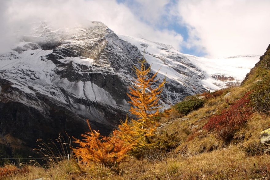 Babí léto a zlatavé modříny na nejvyšším bodě trasy Bernina express, Švýcarsko, autor: Petra Greifová