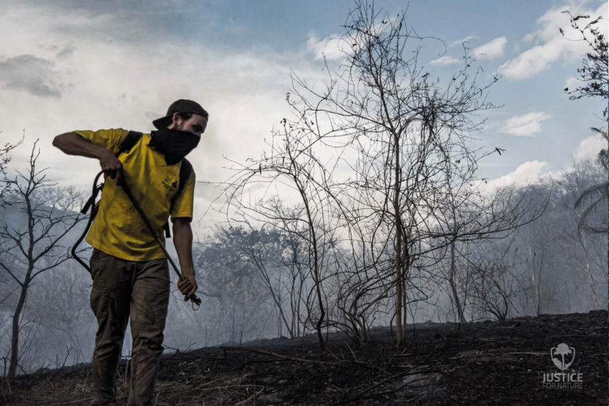 Spolek Prales dětem, aktivity v Kostarice, autor: Milan Jeglík