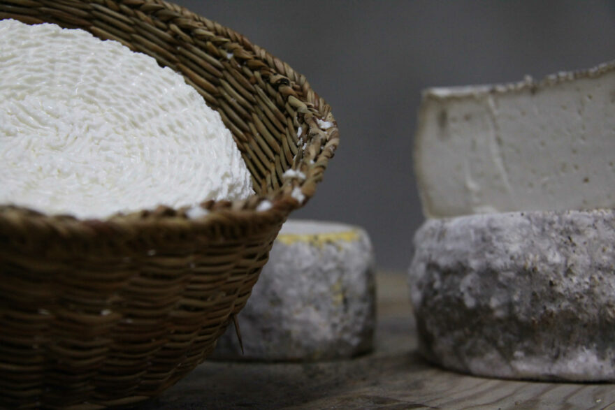 Korsický sýr Brocciu