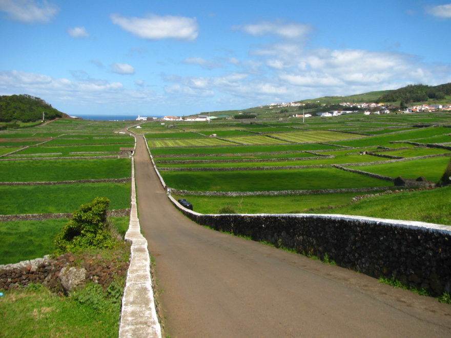 Typické panorama Terceiry. Malá políčka, ohraničená kamennými zídkami