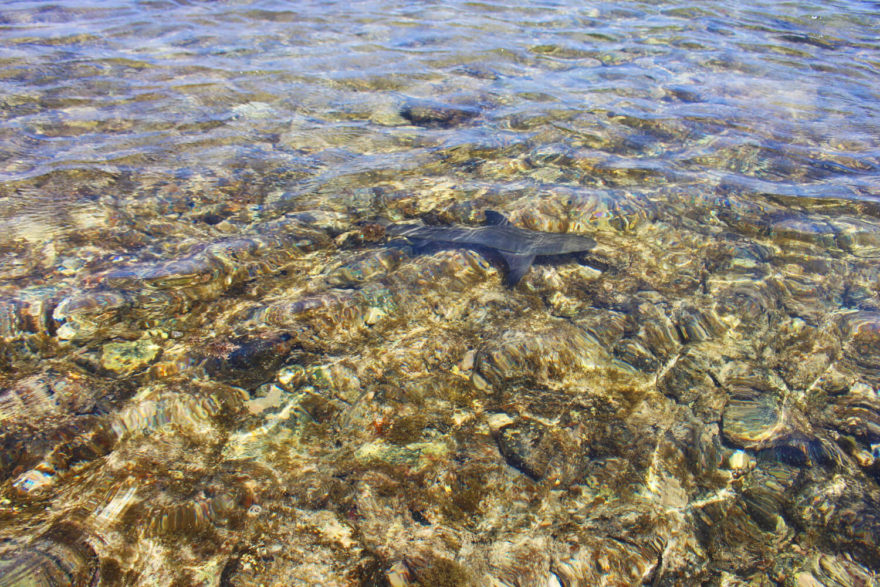 Ostrov Sal, Kapverdy, autor: Blue Style