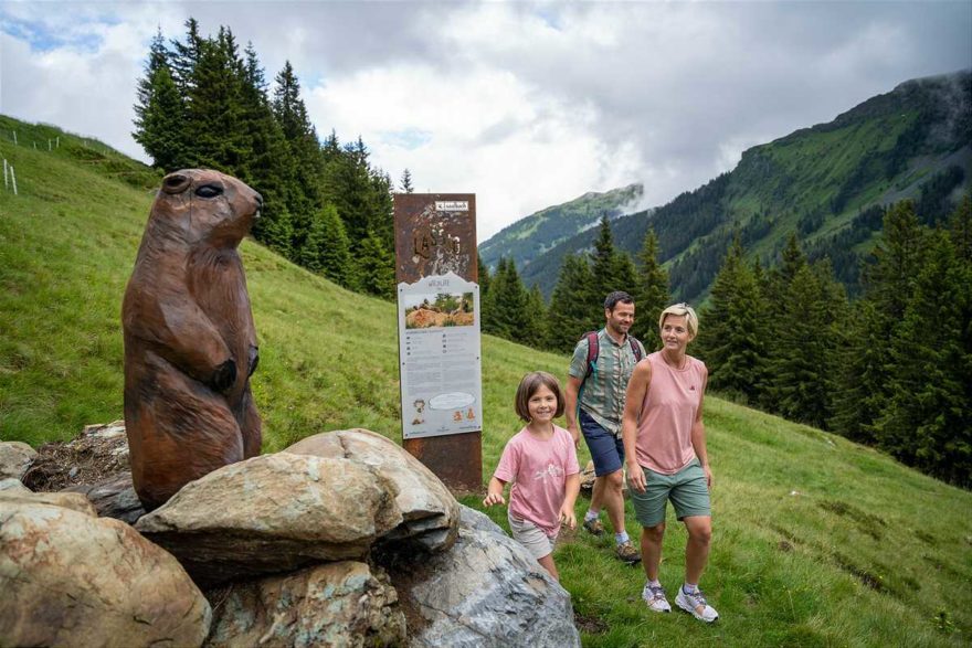 Stezka pro rodiny s dětmi Wildlife Trail v Saalbach Hinterglemm
