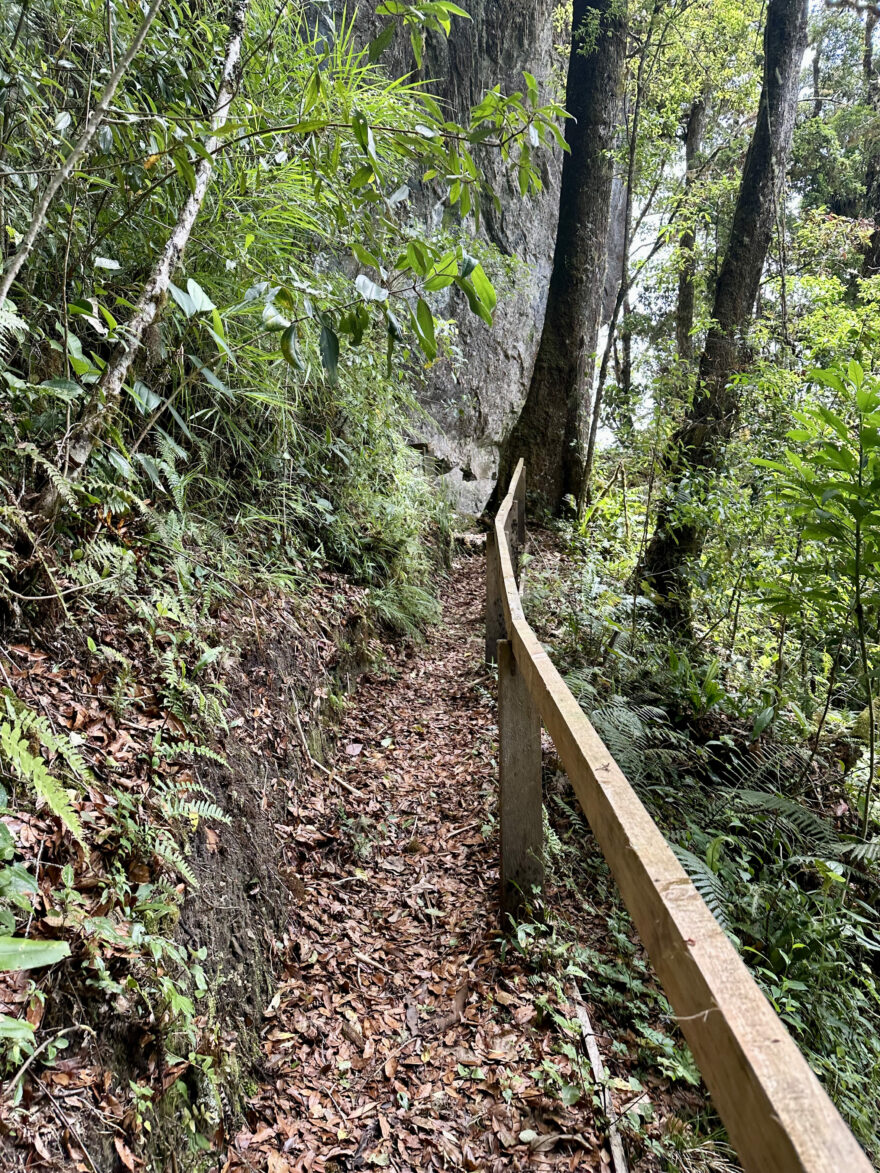 Odbočka na vyhlídku