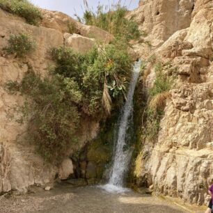 Národní park Ein Gedi v Judské poušti, největší oáza v Izraeli