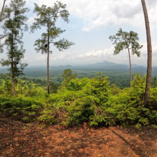 Vyhlídka Ben's Bluff v Cocksomb Basin Wildlife Sanctuary