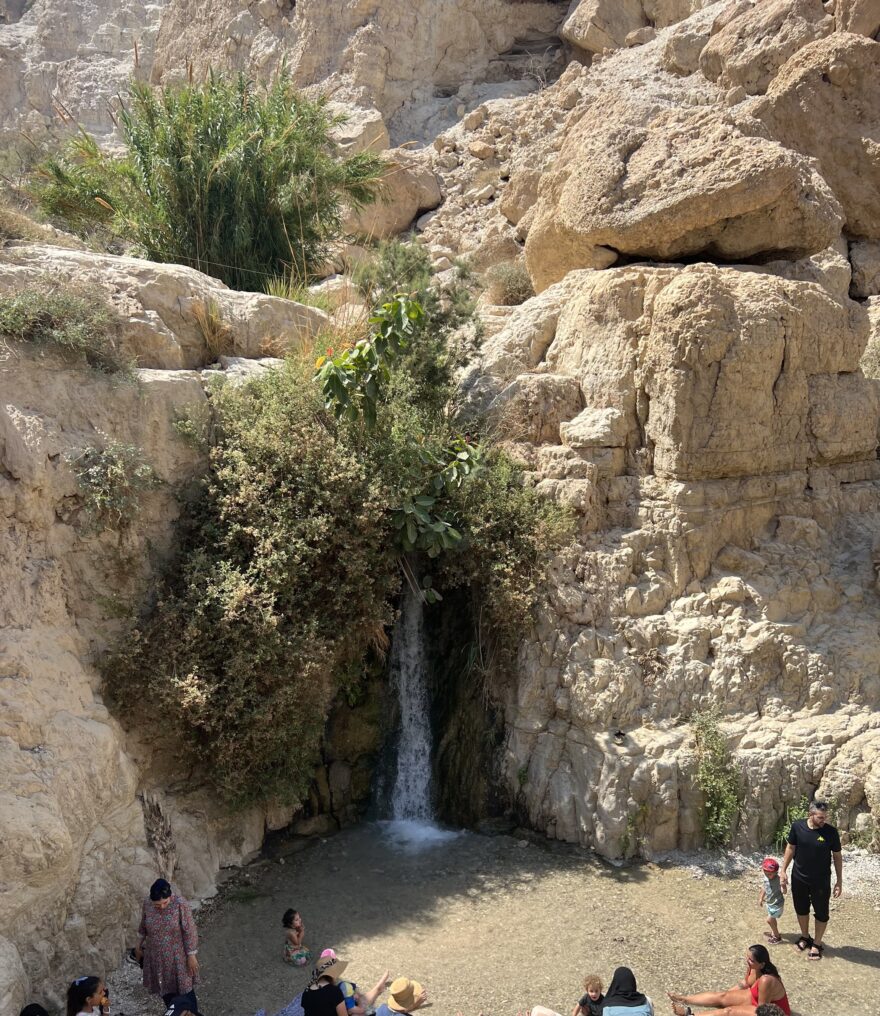 Pouštní oáza Ein Gedi