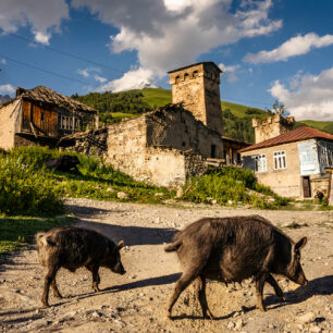 Vesnice Adiši s obrannými věžemi na oblíbeném treku z Mestie do Ušguli ve Svanetii. Foto: Pavel Svoboda