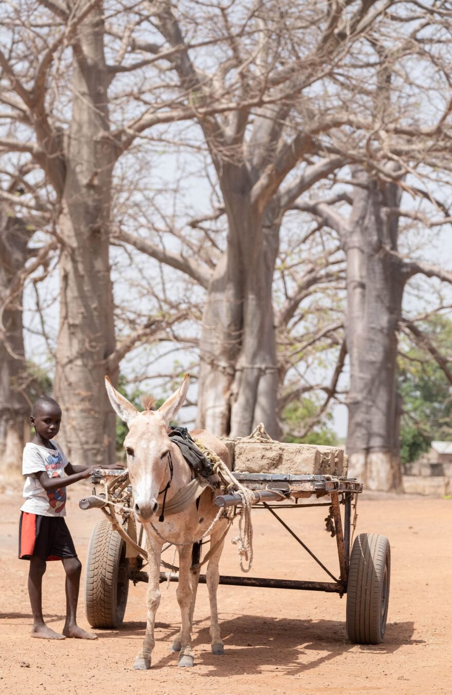 Gambie - země podél řeky. Foto: Lenka Hrabalová