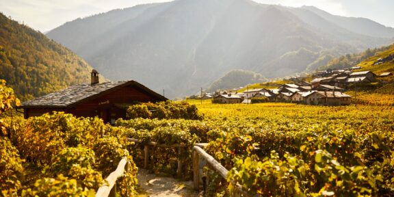 Švýcarské Lausanne láká na uměleckou atmosféru i výlety u Ženevského jezera