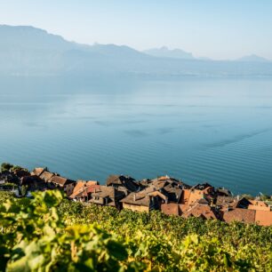 Typická vinařská vesnice St. Saphorin uprostřed Lavaux. Foto: Switzerland Tourism