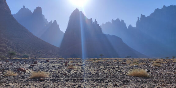 Běhání (a treky) v pouštích Arábie: Saúdská Arábie, Omán, Jordánsko, David Gladiš