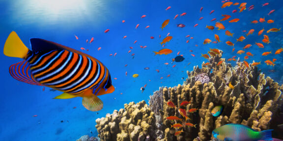 Hurghada a Marsa Alam: nejlepší počasí čekejte na přelomu zimy a jara