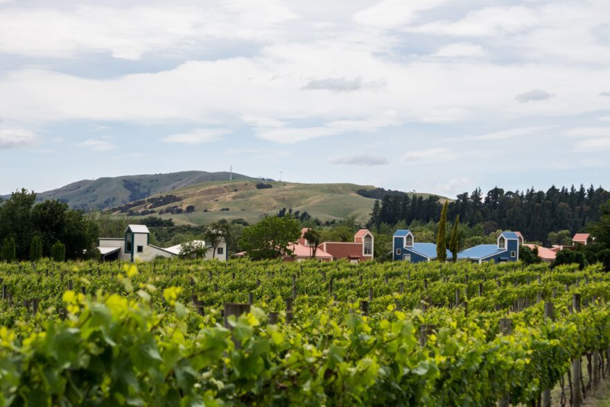 Martinborough, tyhle sklípky vypadají skoro jako na Moravě