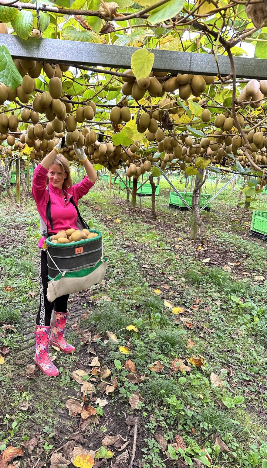 Moje první pracovní pozice byla sběr kiwi a můj splněný sen