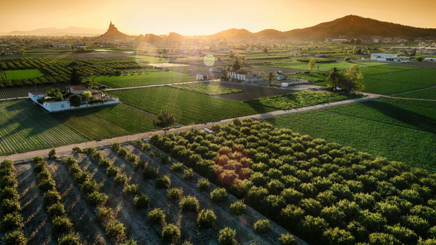 Murcie je zeleninová zahrada celého Španělska. Foto: Joaquín Zamora