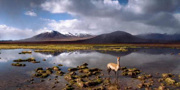 Chile se špetkou Argentiny, Anežka Straková a Jan Berounský