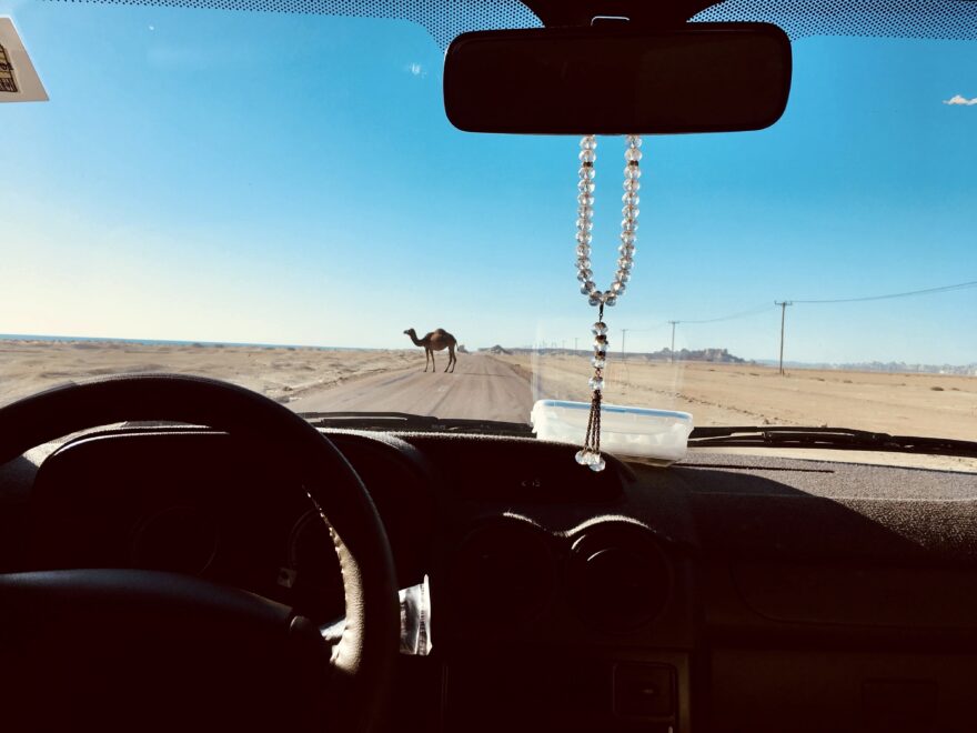 V barevné perské pohádce s dětmi