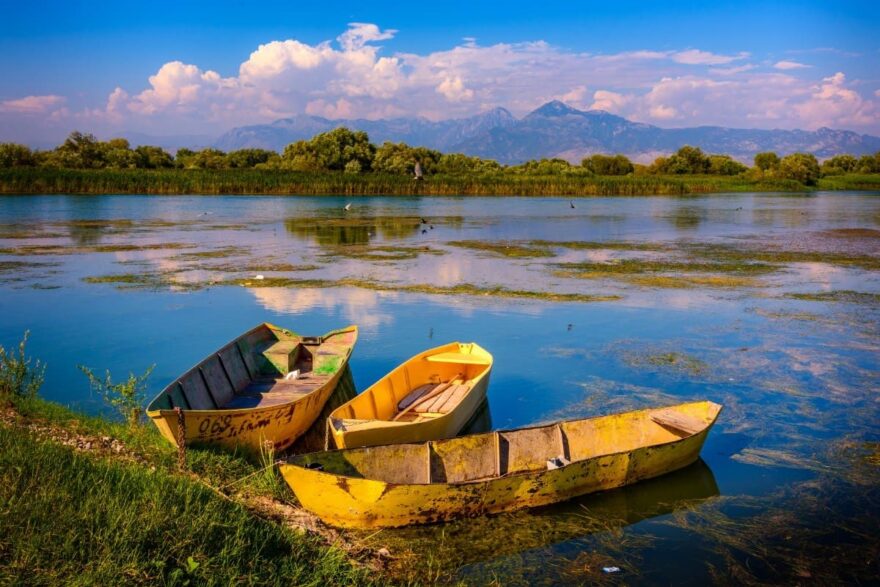 Lodičky ve Skadarském jezeře