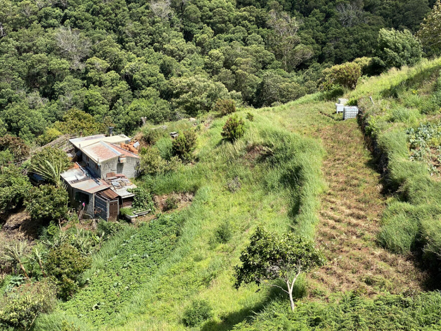 Vavřínovým lesem k lávovým bazénkům 