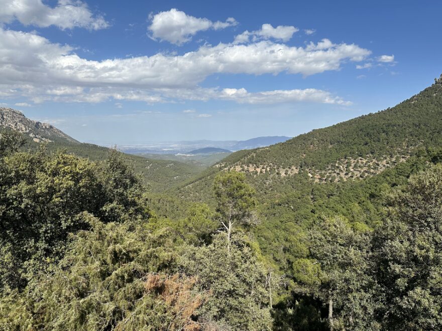 Ještě v 19. století takhle zalesněný park vůbec nebyl