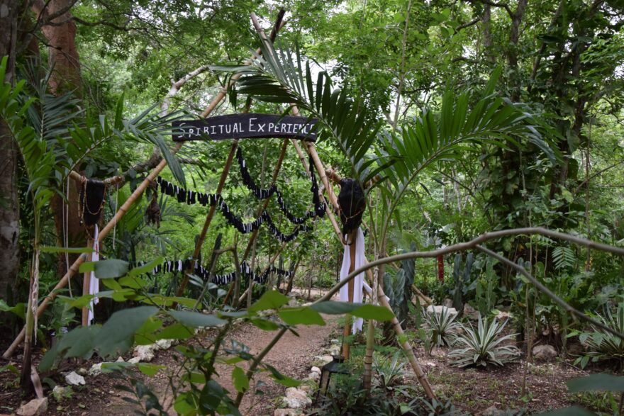 Cestička Yucatanskou džunglí