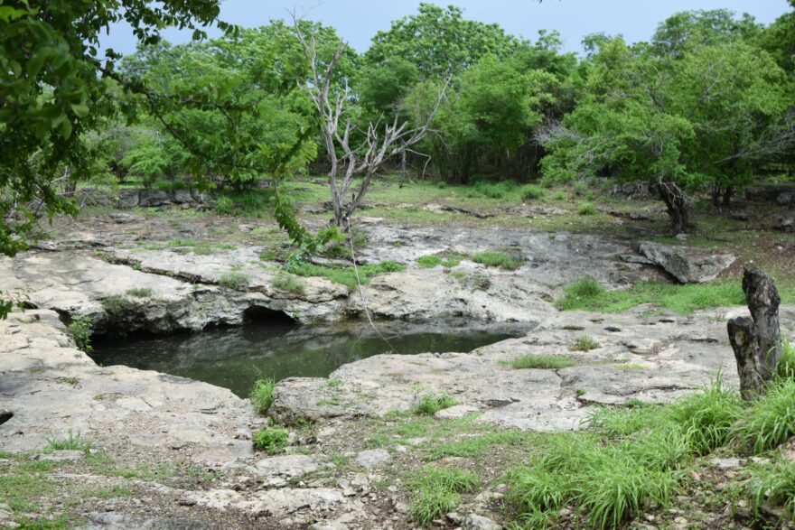 Pokud budete dobře hledat, najdete i opuštěné cenotes