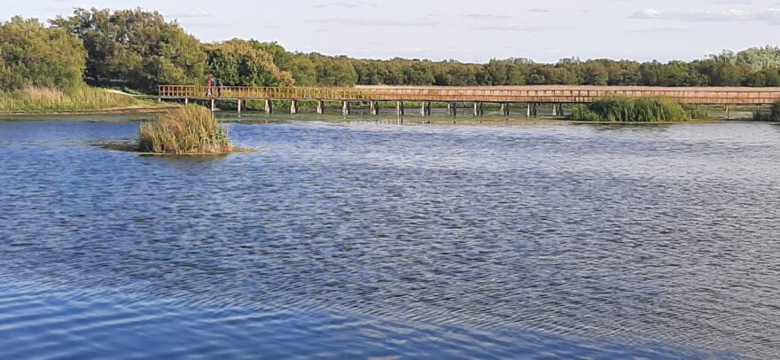 Národní park Tablas de Daimiel. Foto: Zuzana Churanová
