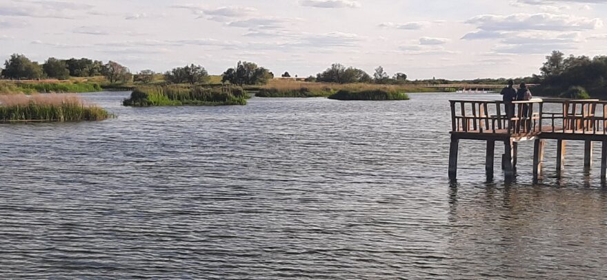 Mokřady v Tablas de Daimiel. Foto: Zuzana Churanová
