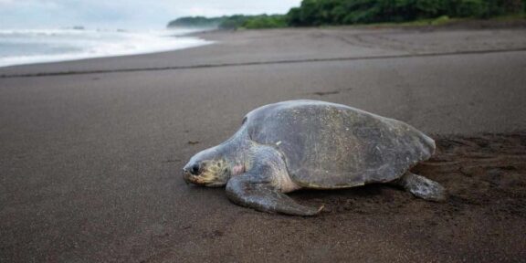 Cestování Jinak, aneb chráníme divočinu, Milan Jeglík – Brno