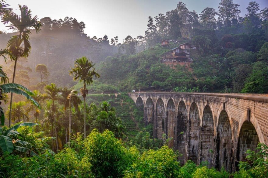 Pestrobarevná SRÍ LANKA. Martin Půlpán