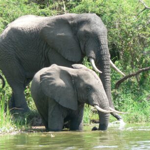 JIŘÍ KUBERNÁT / Ugandou křížem krážem