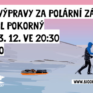 Zimní výpravy za polární září