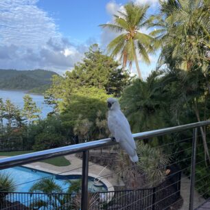 RADIM STIBŮREK / Letem světem