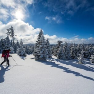 Harz: Vycházka na lyžích v národním parku Harz © DZT/Michael Neumann
