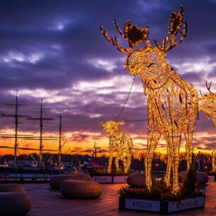 TRelche na Strandterrassen v Travemünde © Schleswig-Holstein GmbH/Olaf Malzahn