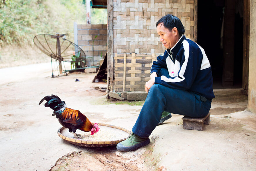 Plánovali dovolenou, ale neodletěli: 5 nejčastějších důvodů, proč vás nepustí do letadla
