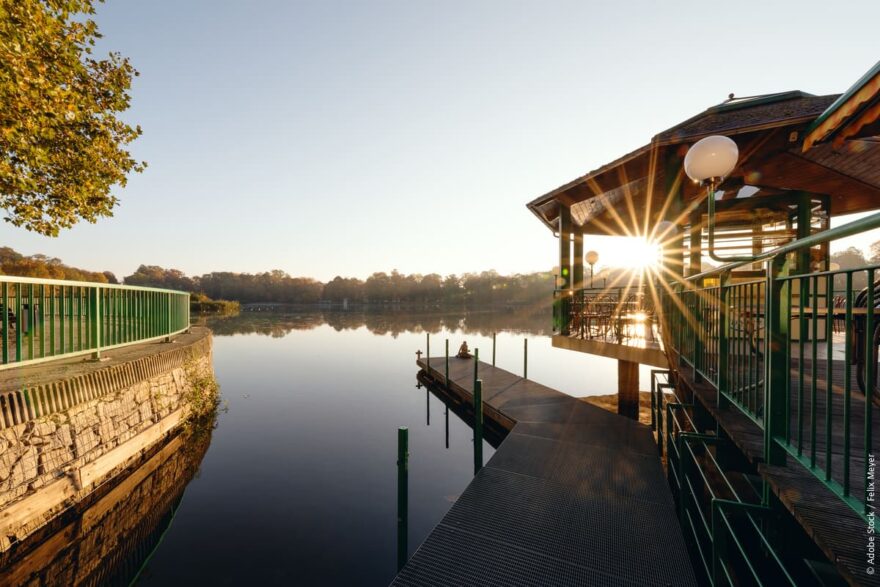 Východ slunce u zámeckého rybníka. Foto: Felix Meyer