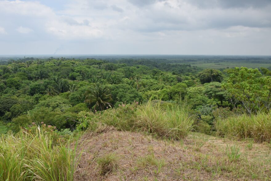 Výhled z Olmécké pyramidy