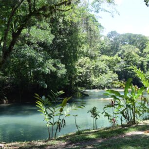 Příroda jak vystřižená z botanické zahrady