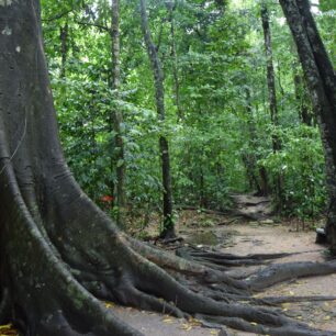 Doslova o ni zakopáváte