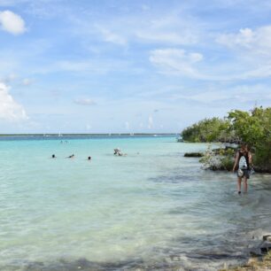 Lagunu Bacalar lemují kořeny mangrovníků